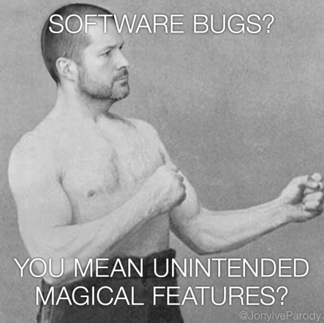 Software bugs?