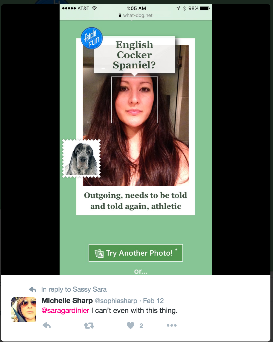 Microsoft Research User eXperience Technologies group’s What Dog